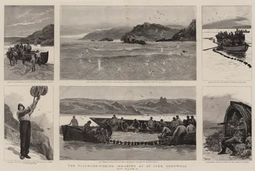 The Pilchard-Fishing Industry at St Ive